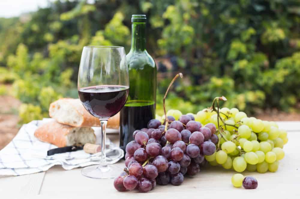 food and wine trails tours